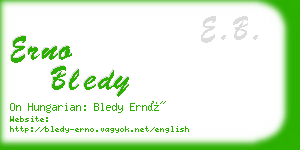 erno bledy business card